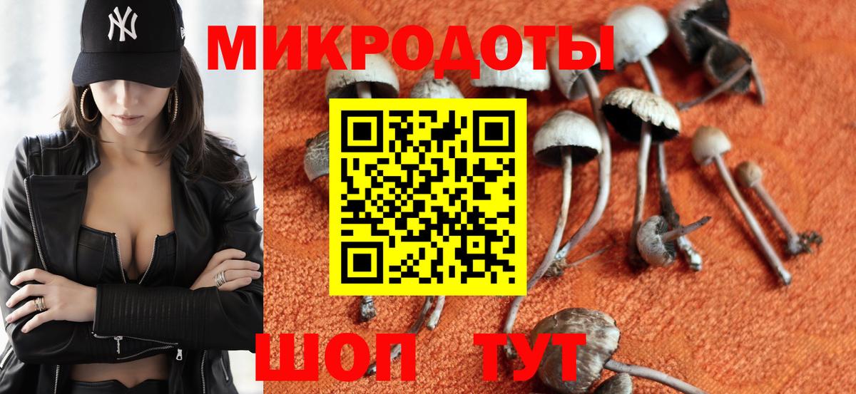Сосновоборск  Псилоцибиновые грибы Psilocybe  Вход с VPN 