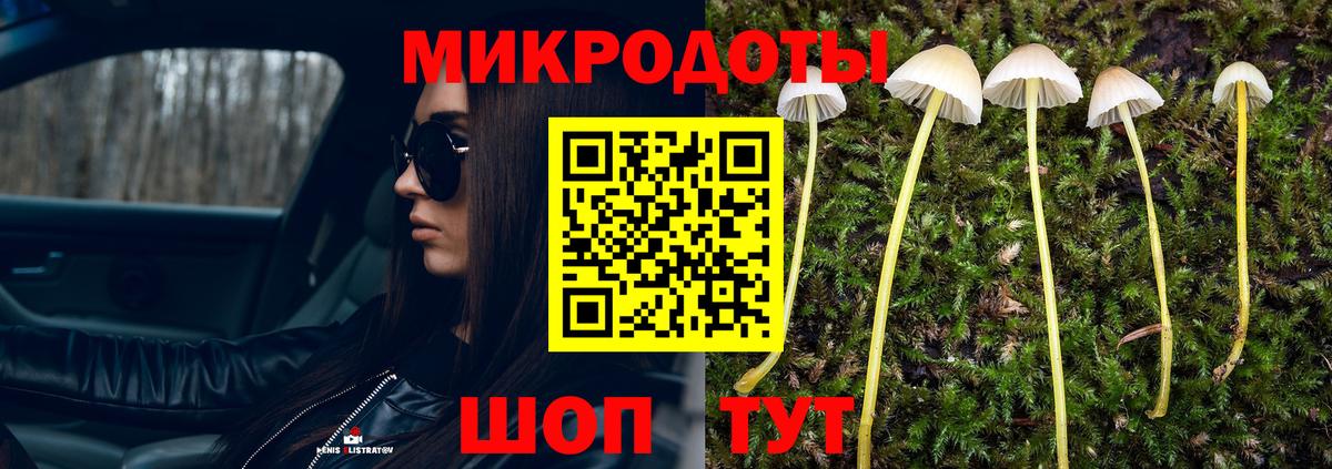Галлюциногенные грибы Cubensis Сосновоборск
